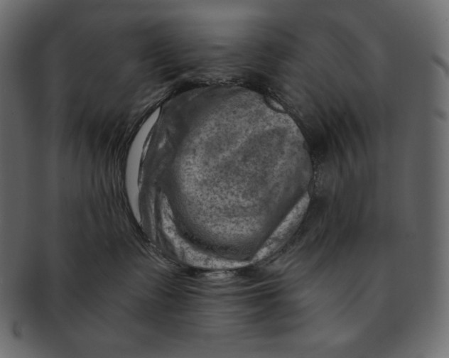 X0000091360335200709071309