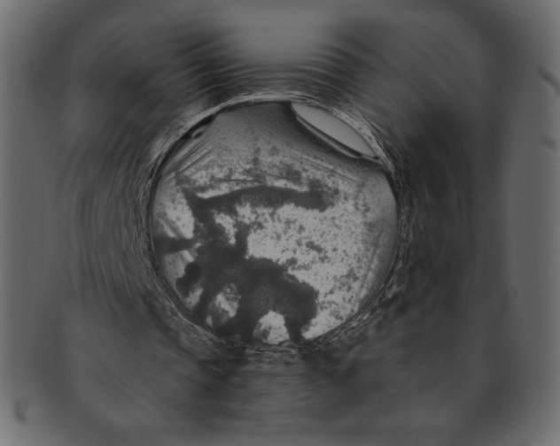 X0000091360337200709071308