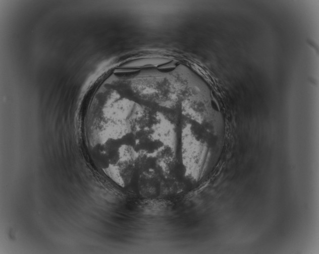 X0000091360343200709071308