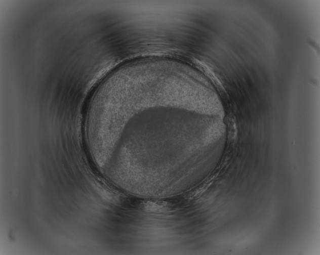 X0000091360346200709071308