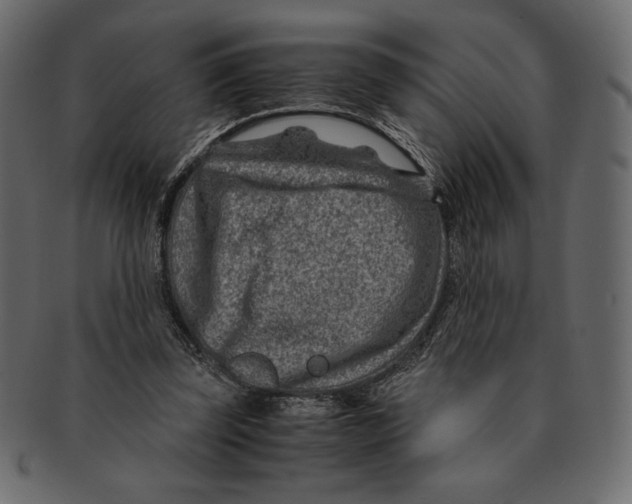 X0000091360347200709071308