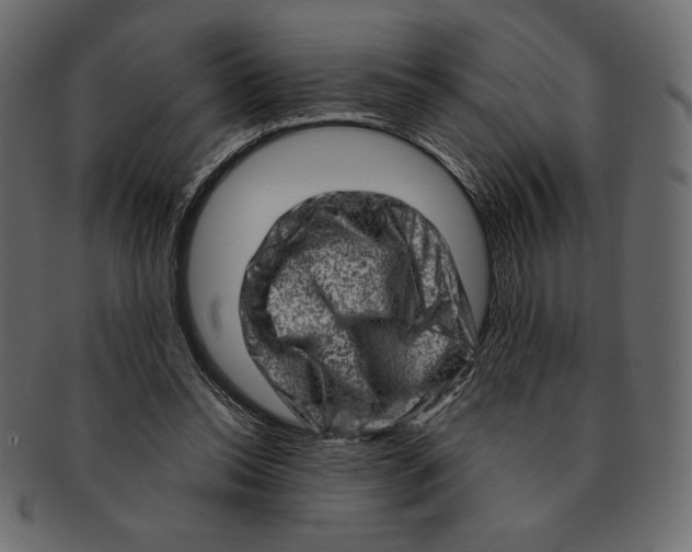 X0000091360350200709071308