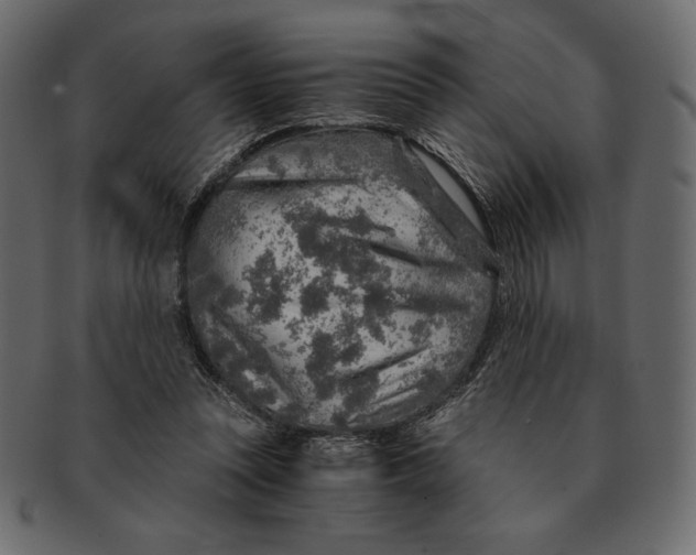 X0000091360351200709071308