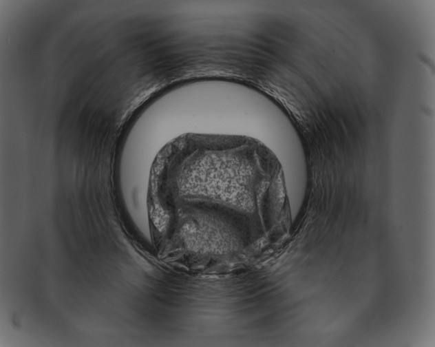 X0000091360352200709071308