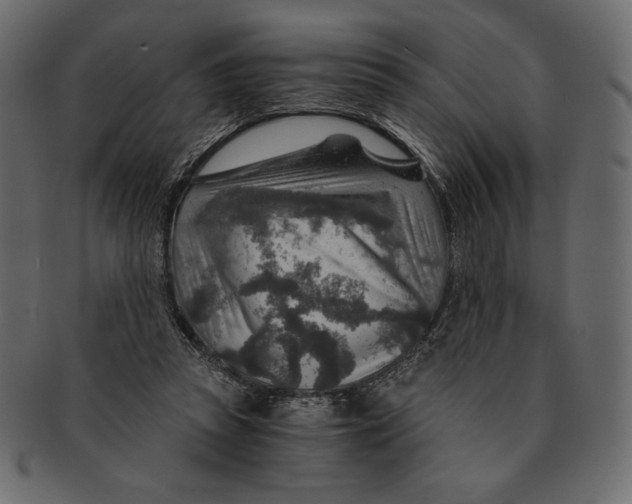 X0000091360353200709071308