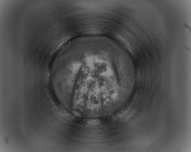 X0000091360355200709071308