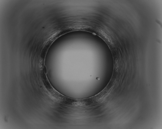 X0000091360356200709071308