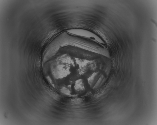 X0000091360357200709071308