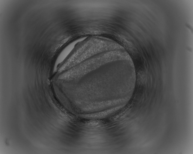 X0000091360358200709071308