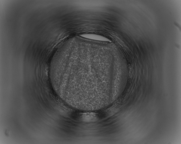 X0000091360363200709071308