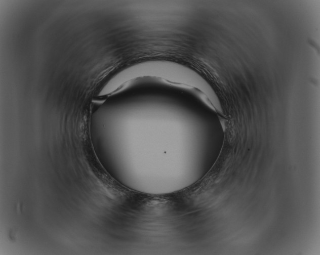 X0000091360364200709071308