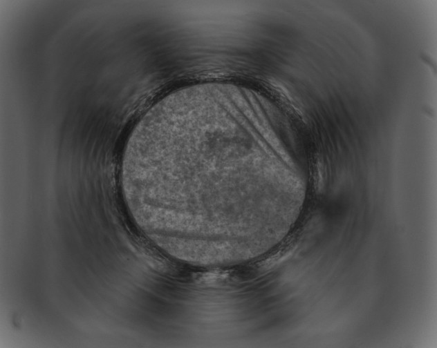 X0000091360366200709071308