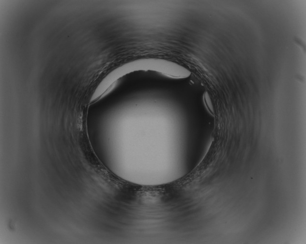 X0000091360368200709071309