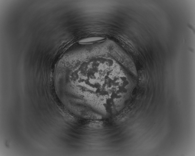 X0000091360369200709071309