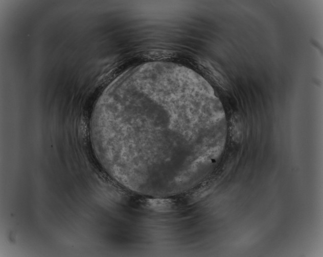 X0000091360371200709071309