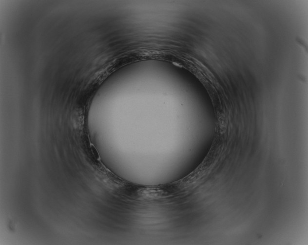 X0000091360372200709071309