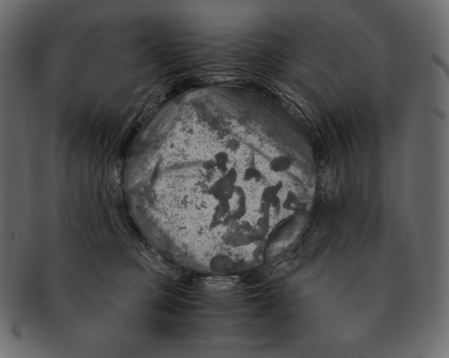 X0000091360373200709071309