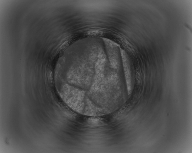 X0000091360375200709071309