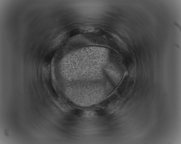 X0000091360376200709071309