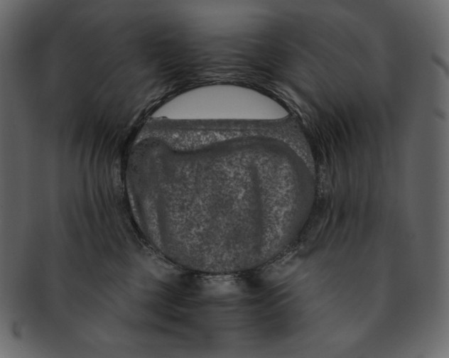 X0000091360377200709071309