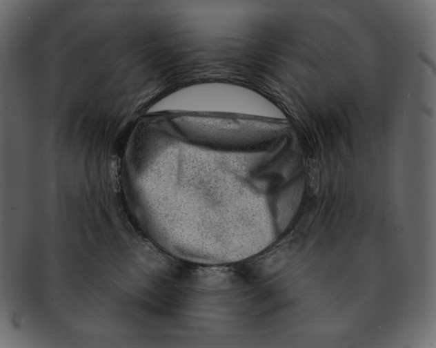 X0000091360378200709071309