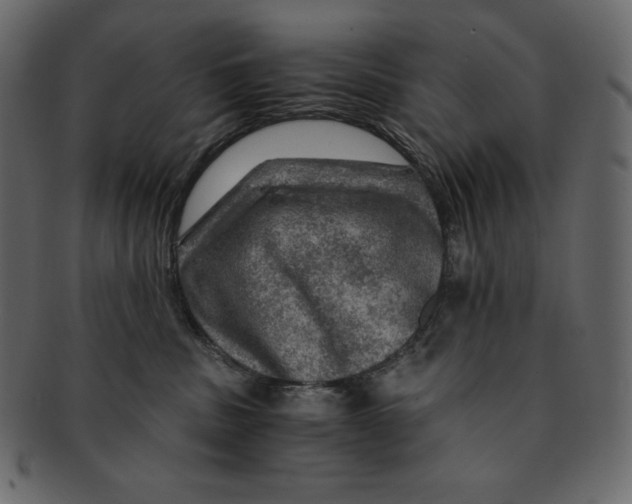 X0000091360379200709071309