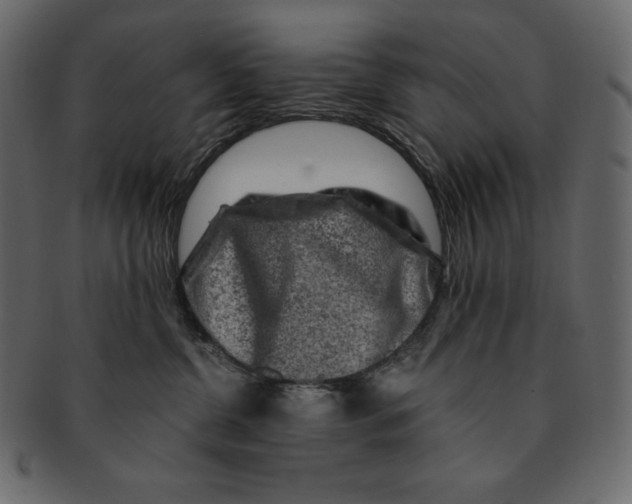 X0000091360380200709071309