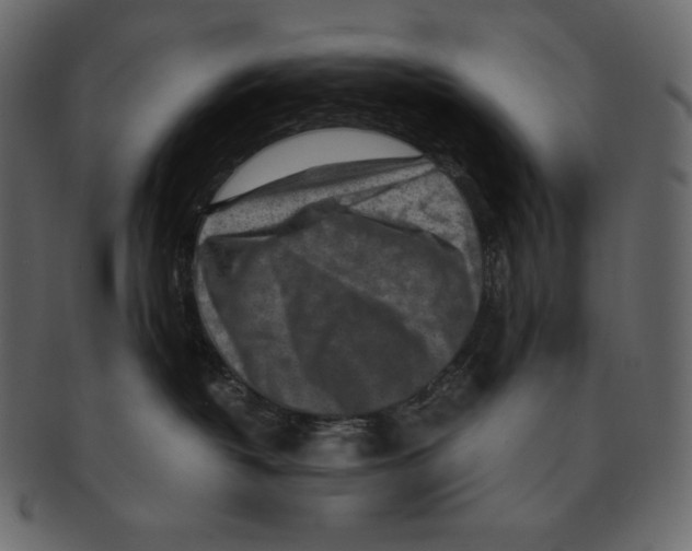 X0000091360382200709071309