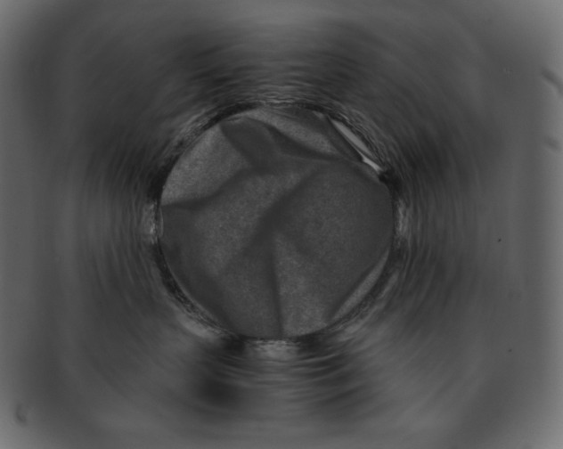 X0000091360383200709071309