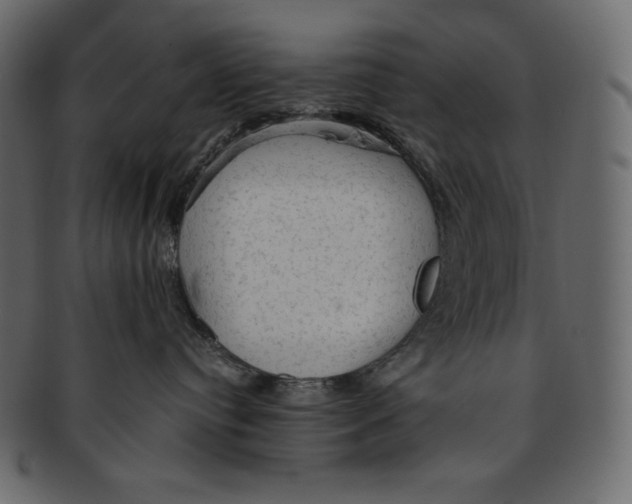 X0000091360384200709071309