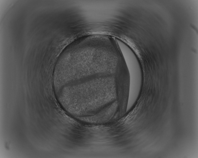 X0000091360385200709071308