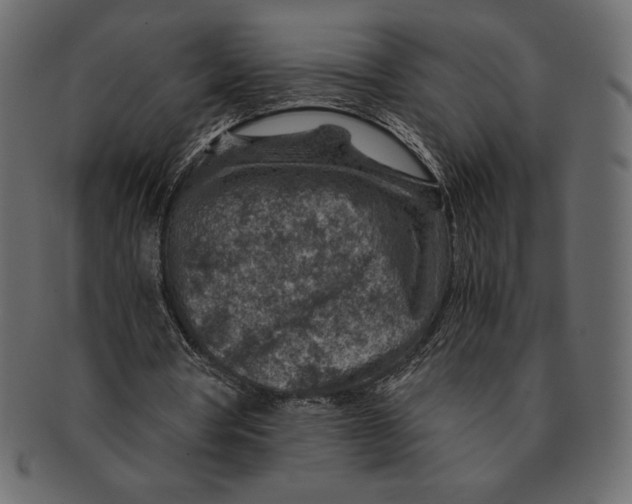 X0000091360386200709071308