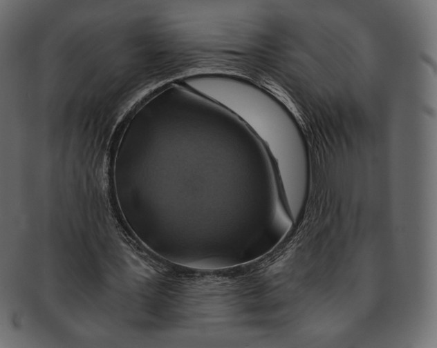 X0000091360387200709071308