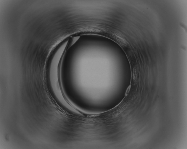 X0000091360388200709071308