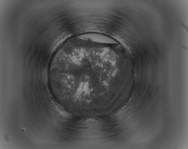 X0000091360390200709071308