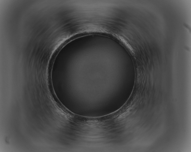 X0000091360391200709071308