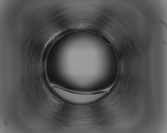 X0000091360392200709071308