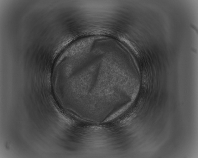 X0000091360394200709071308