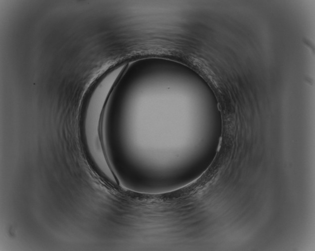 X0000091360395200709071308