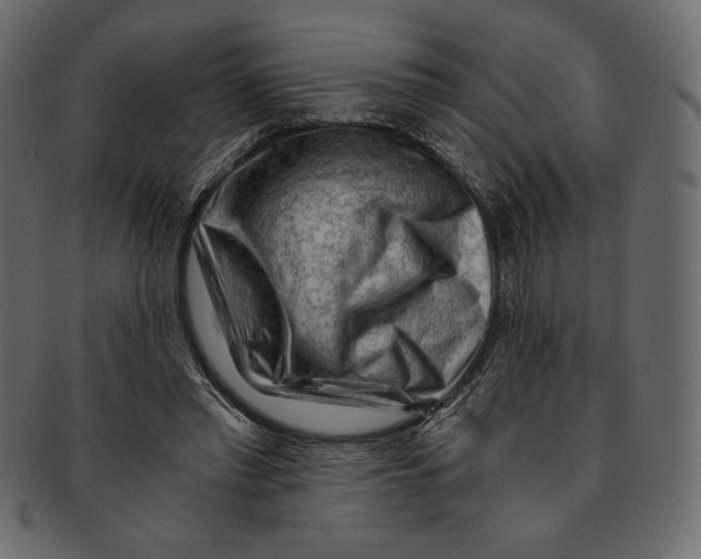 X0000091360397200709071308