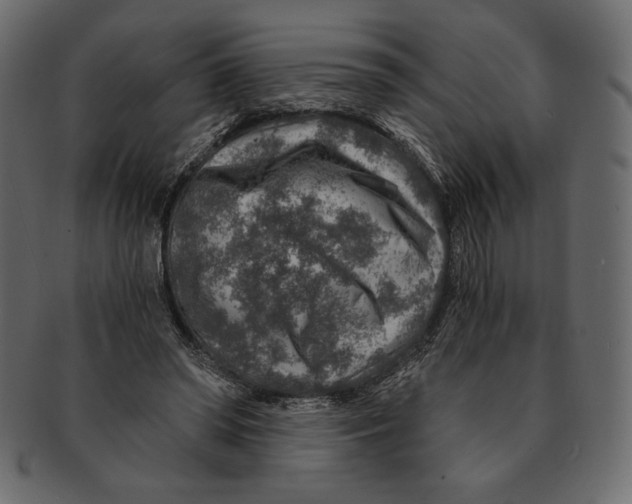 X0000091360398200709071308