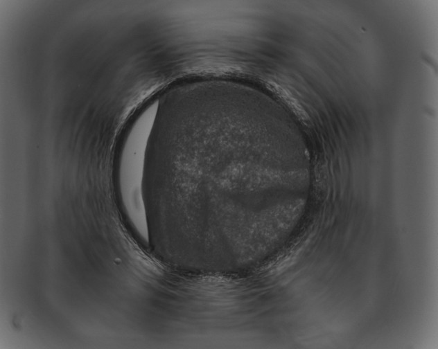 X0000091360399200709071308