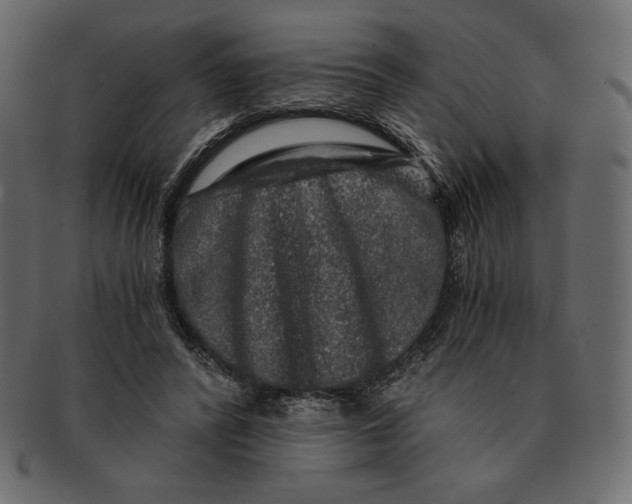 X0000091360400200709071308