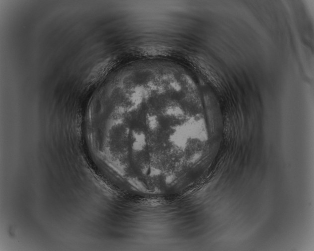 X0000091360402200709071308