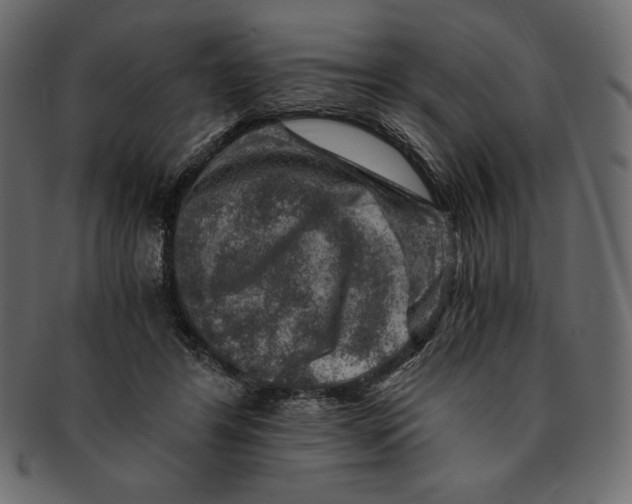 X0000091360404200709071308