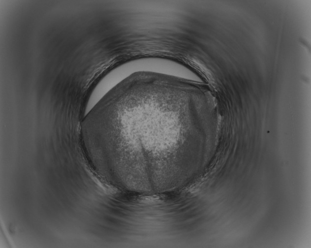 X0000091360405200709071308