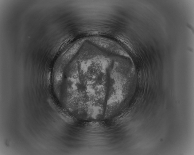 X0000091360406200709071307