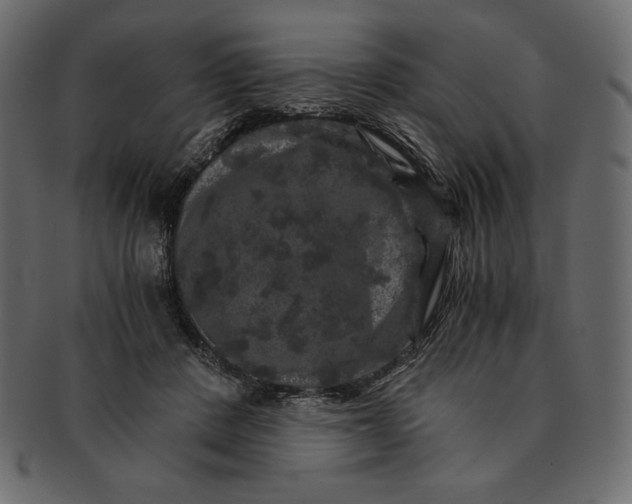 X0000091360408200709071307