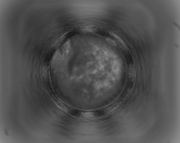 X0000091360409200709071307