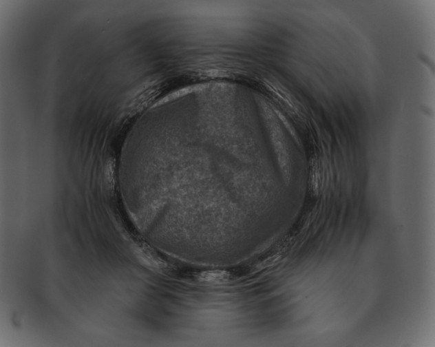 X0000091360410200709071307